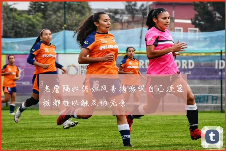 老詹隔扣仍如风夸梅感叹自己连篮板都难以触及的无奈