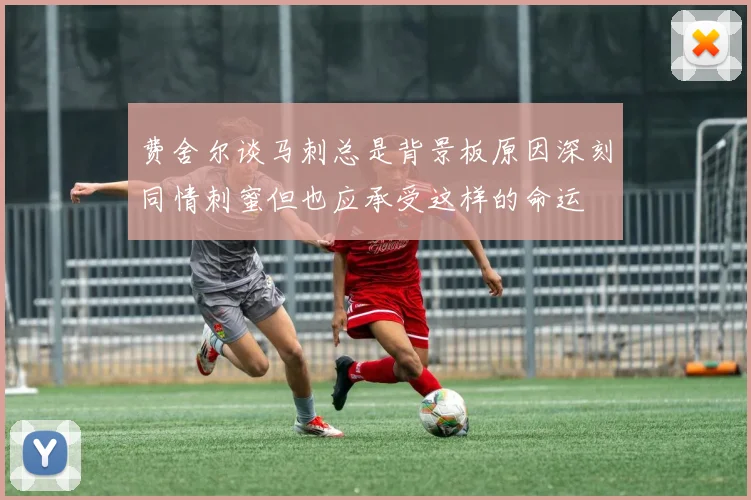 费舍尔谈马刺总是背景板原因深刻同情刺蜜但也应承受这样的命运